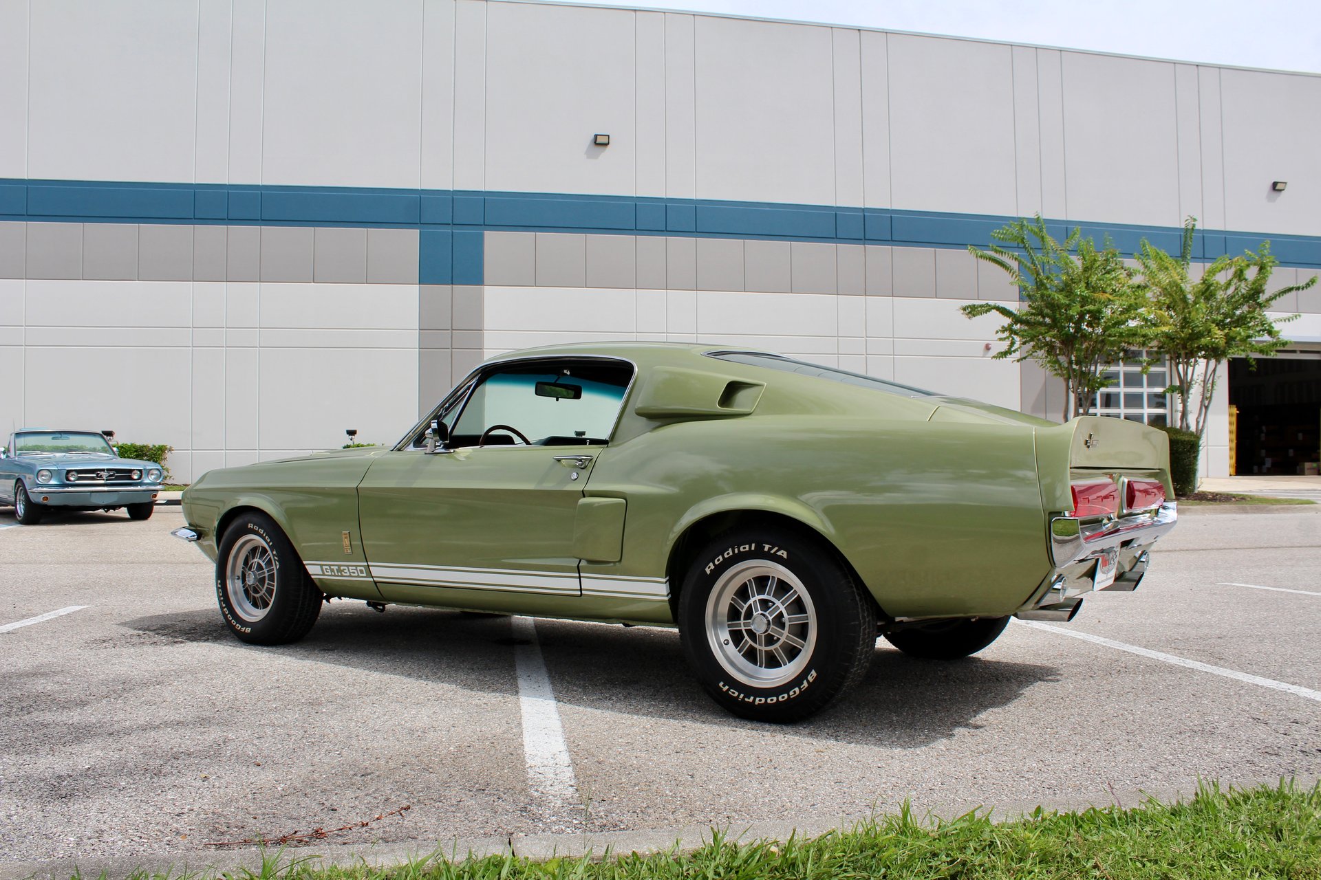 For Sale 1967 Ford Shelby GT350
