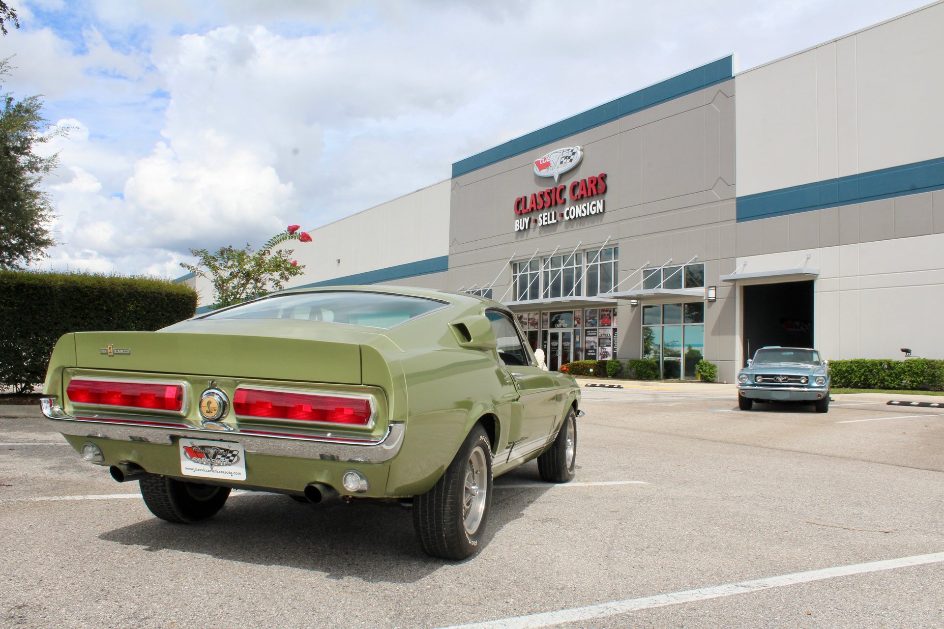 For Sale 1967 Ford Shelby GT350