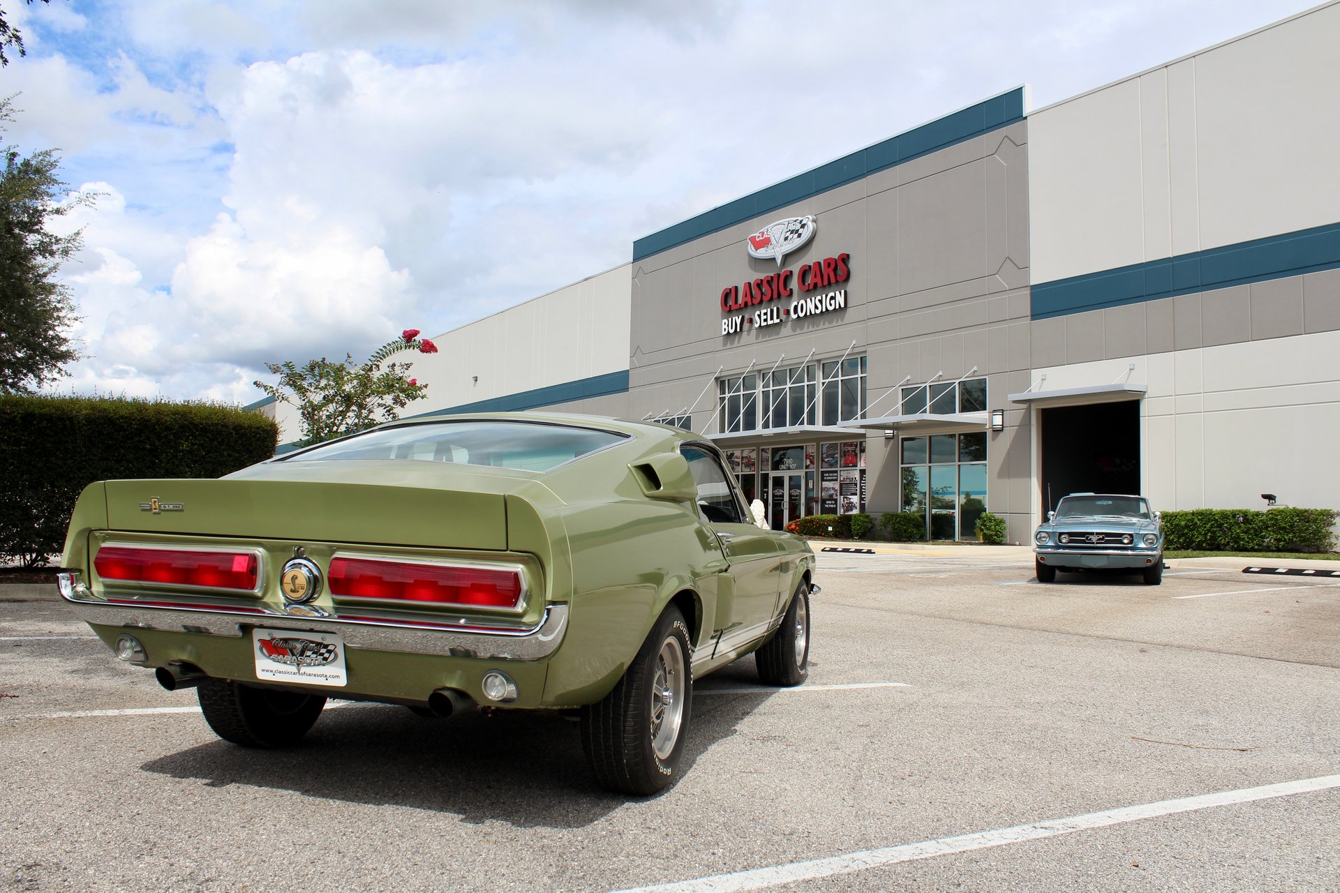 For Sale 1967 Ford Shelby GT350