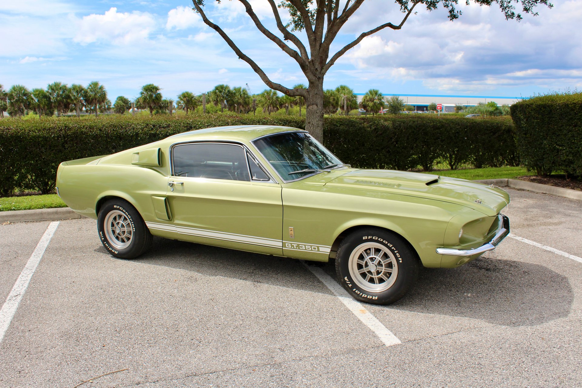 For Sale 1967 Ford Shelby GT350