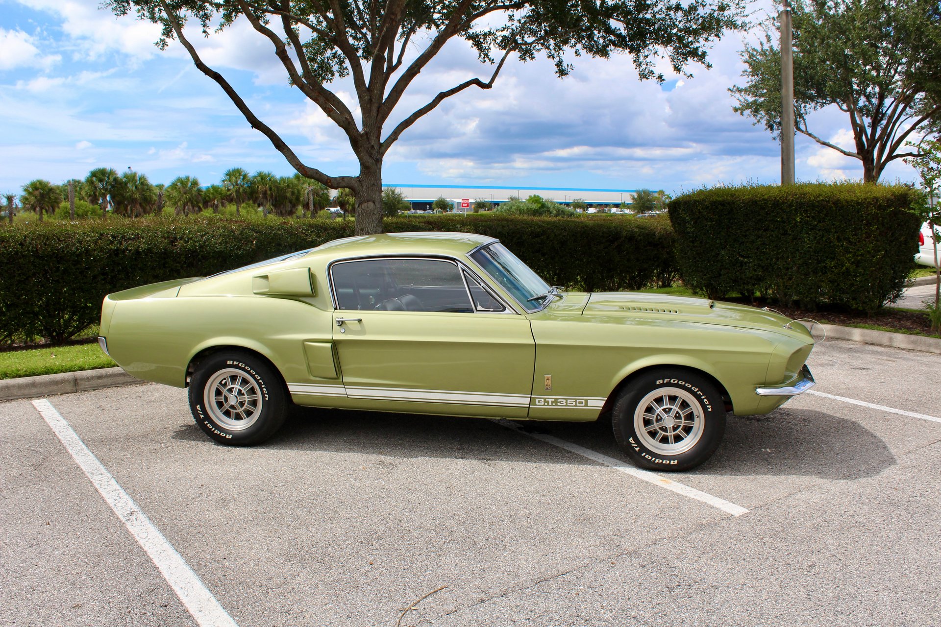 For Sale 1967 Ford Shelby GT350