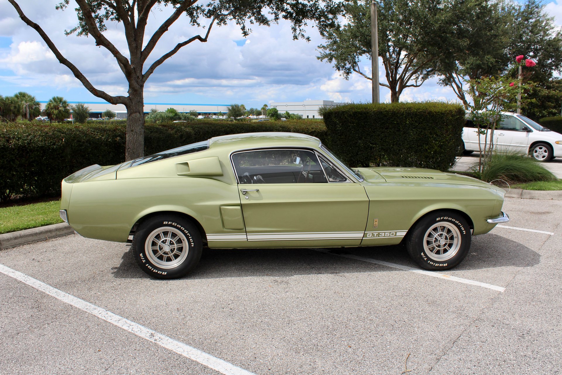 For Sale 1967 Ford Shelby GT350