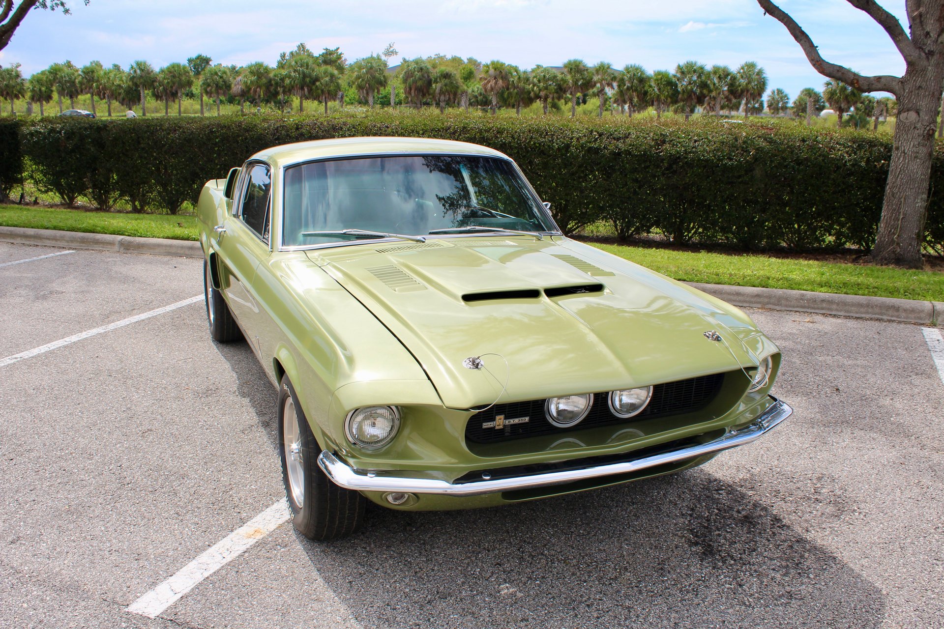 For Sale 1967 Ford Shelby GT350