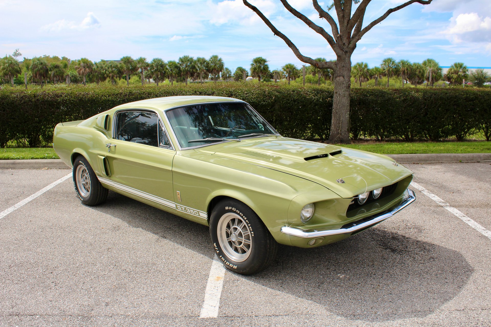 For Sale 1967 Ford Shelby GT350
