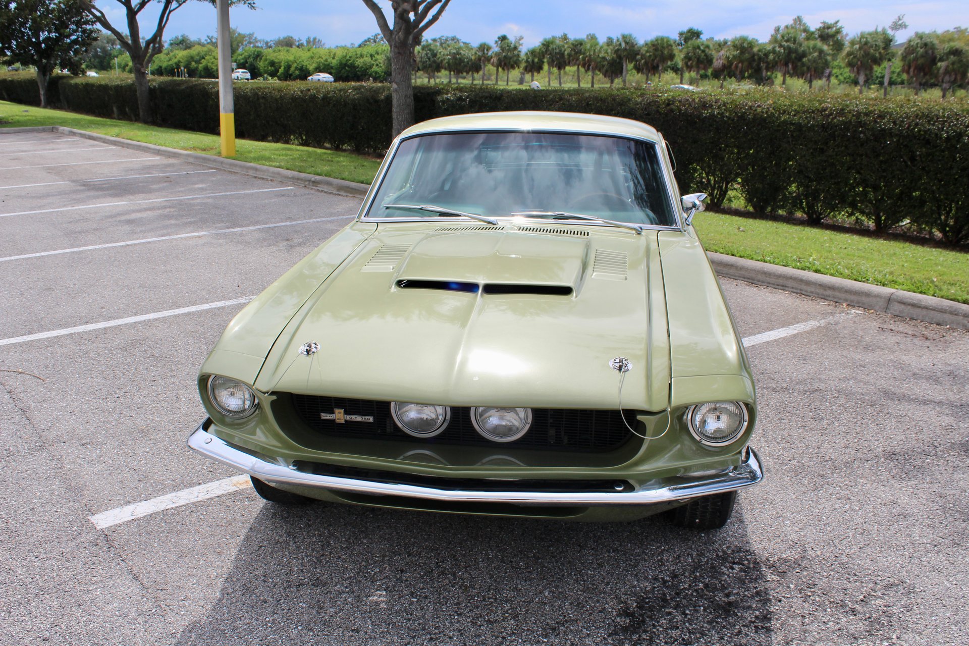 For Sale 1967 Ford Shelby GT350