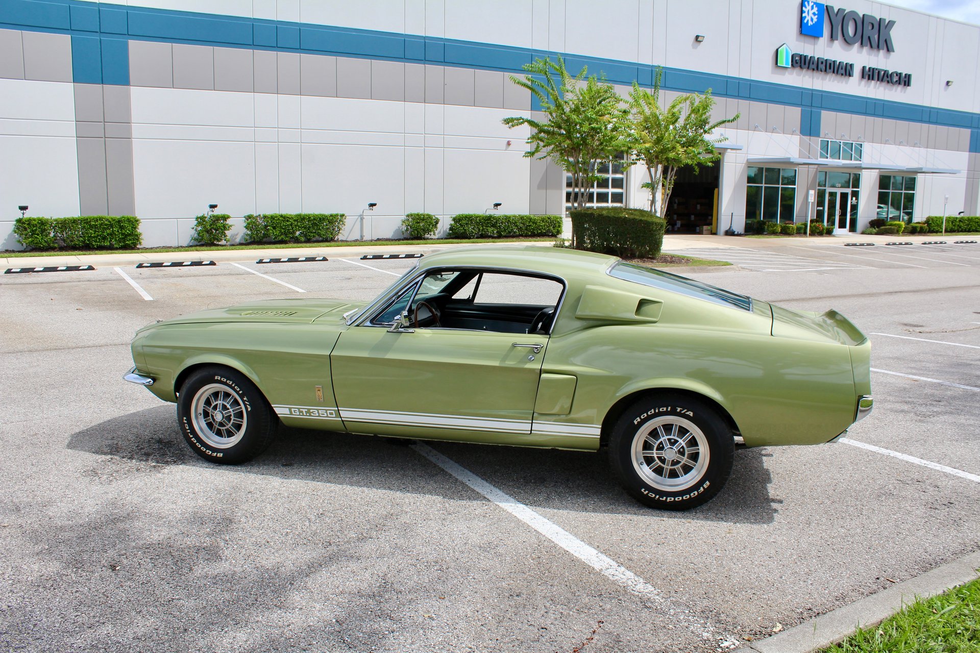 For Sale 1967 Ford Shelby GT350