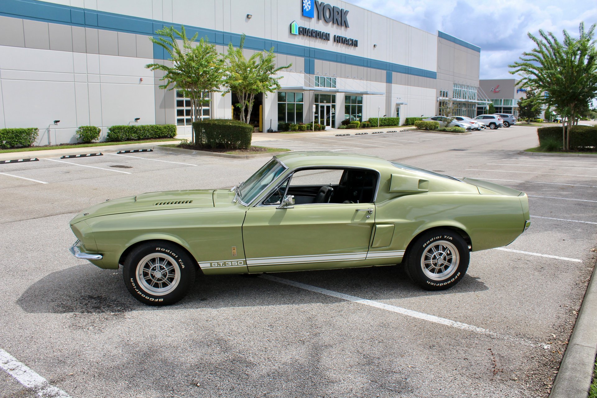 For Sale 1967 Ford Shelby GT350