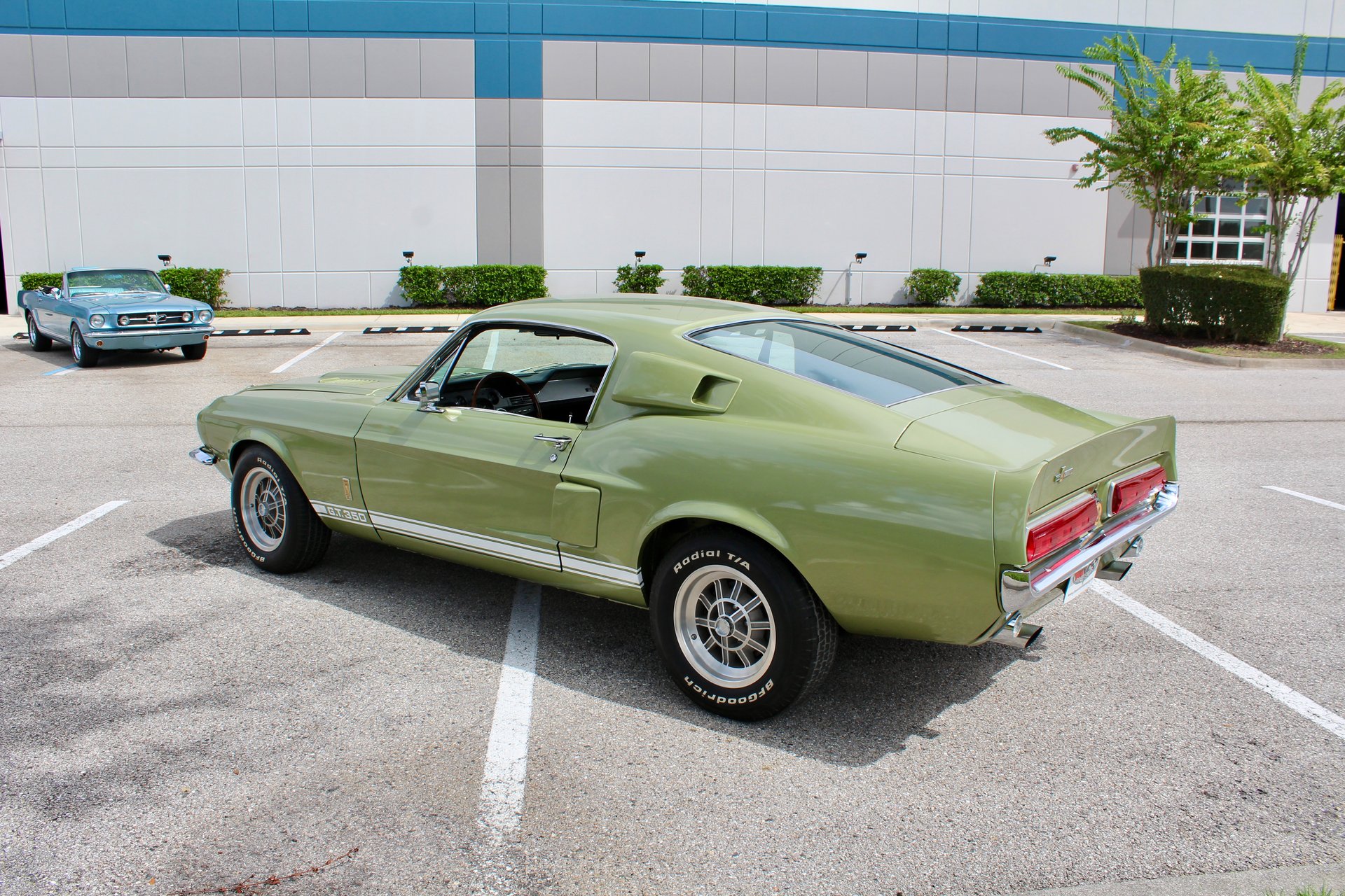 For Sale 1967 Ford Shelby GT350
