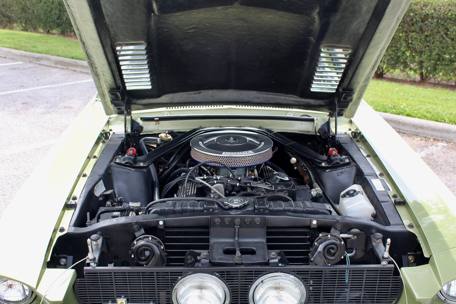 For Sale 1967 Ford Shelby GT350