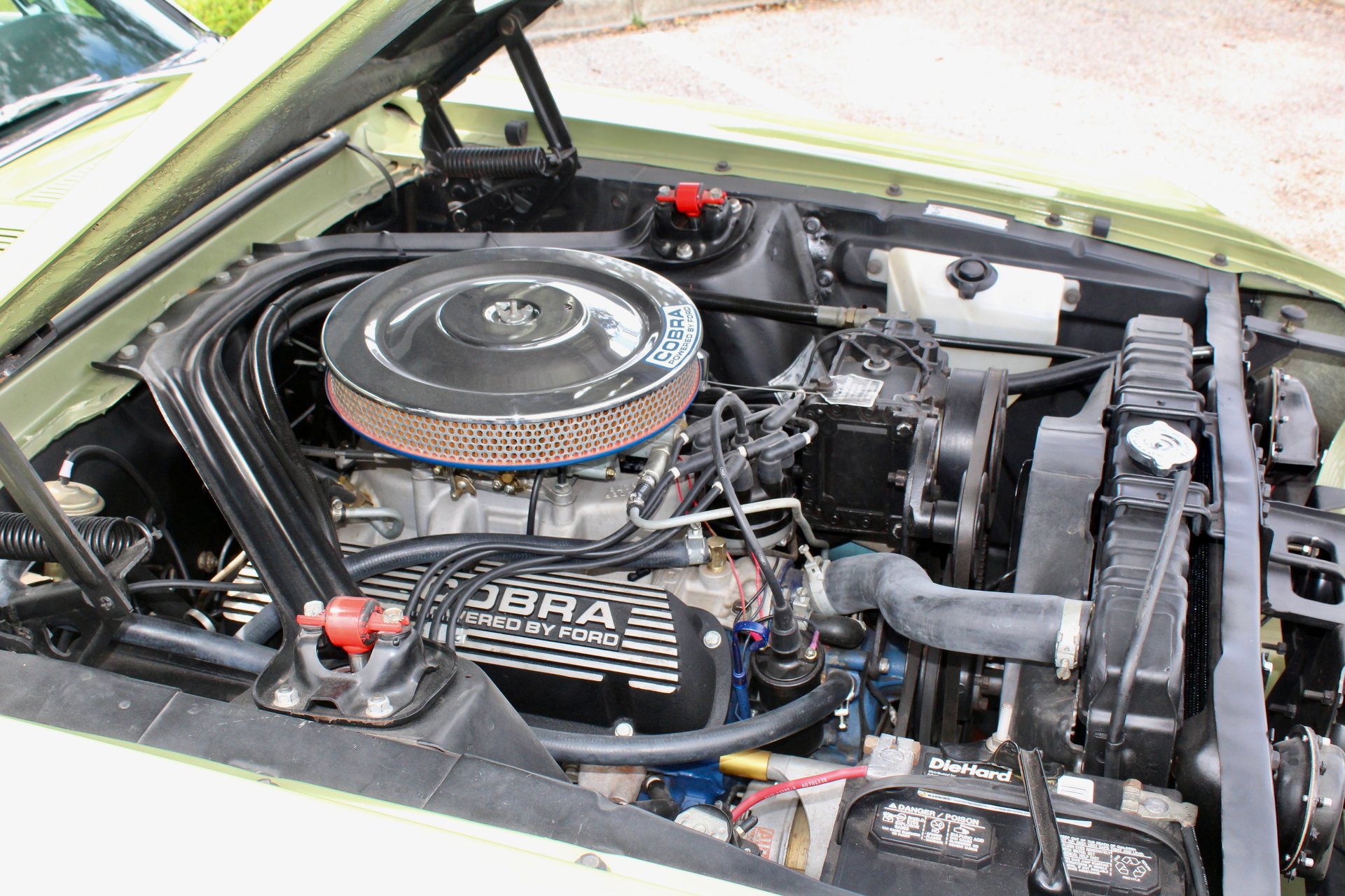 For Sale 1967 Ford Shelby GT350