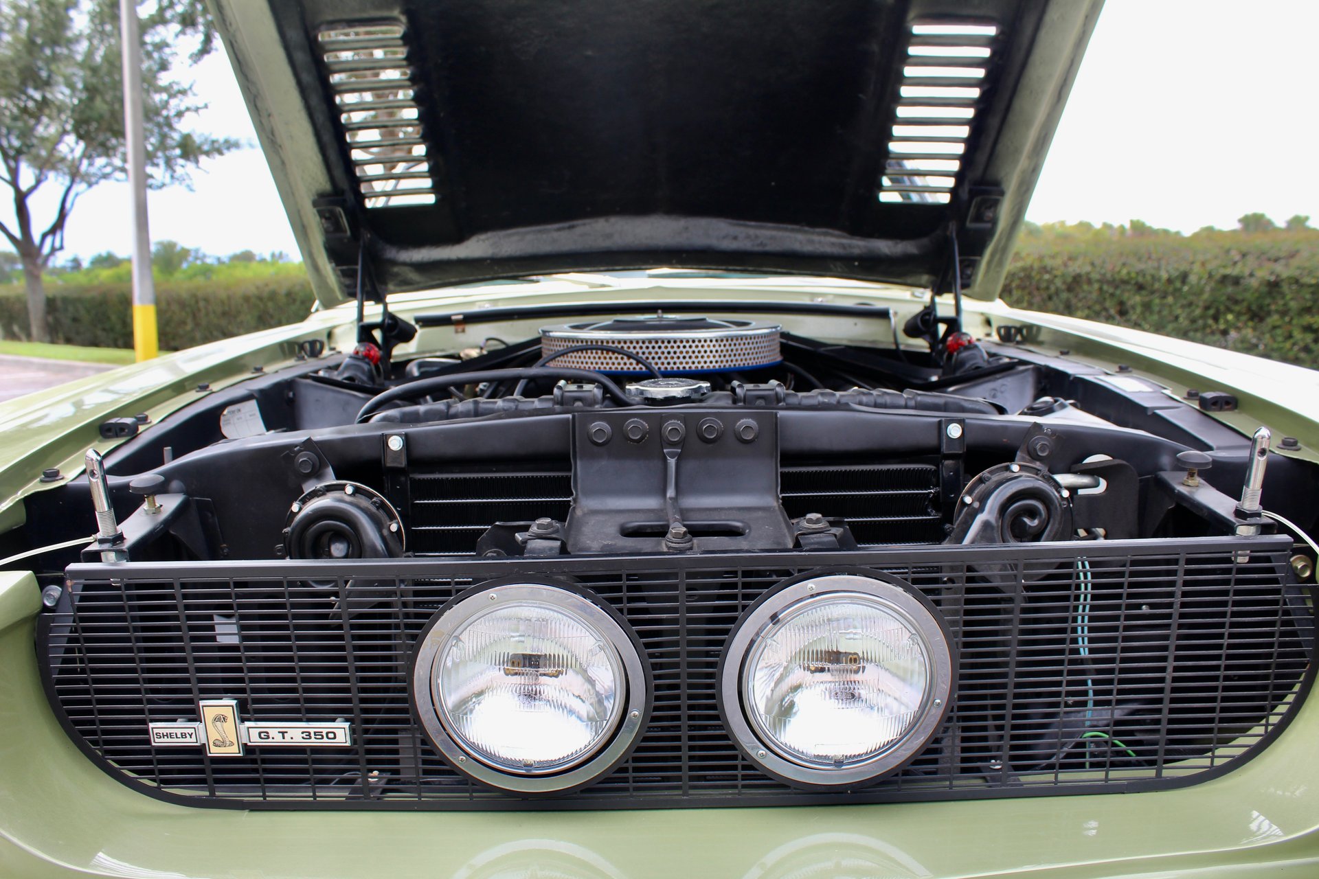 For Sale 1967 Ford Shelby GT350