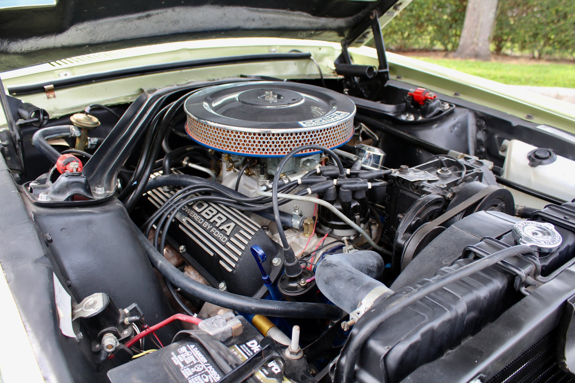 For Sale 1967 Ford Shelby GT350