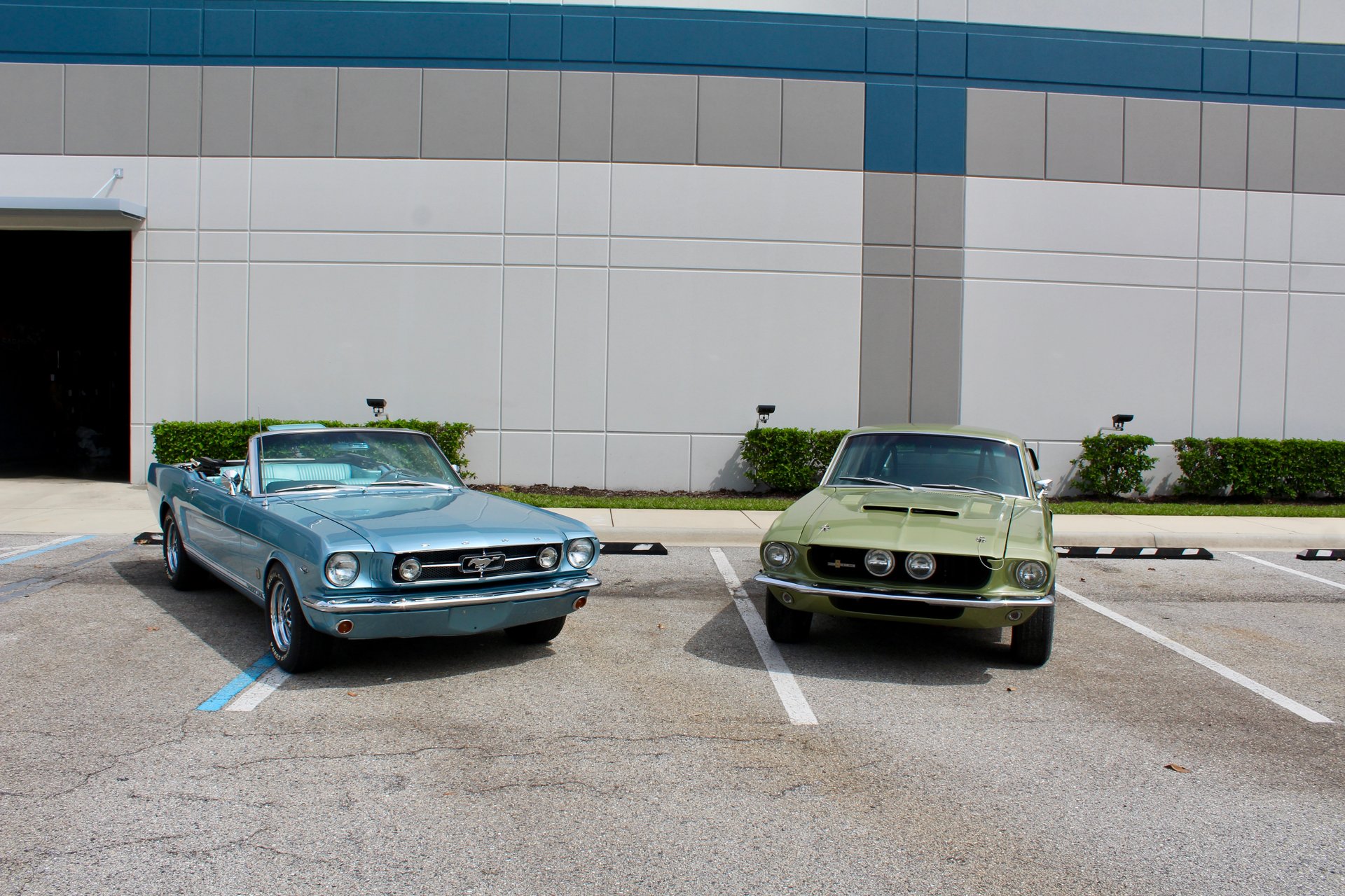 For Sale 1967 Ford Shelby GT350