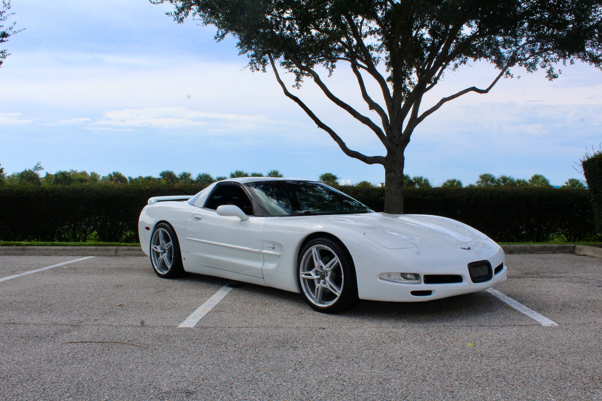 1998 chevrolet corvette 2dr cpe
