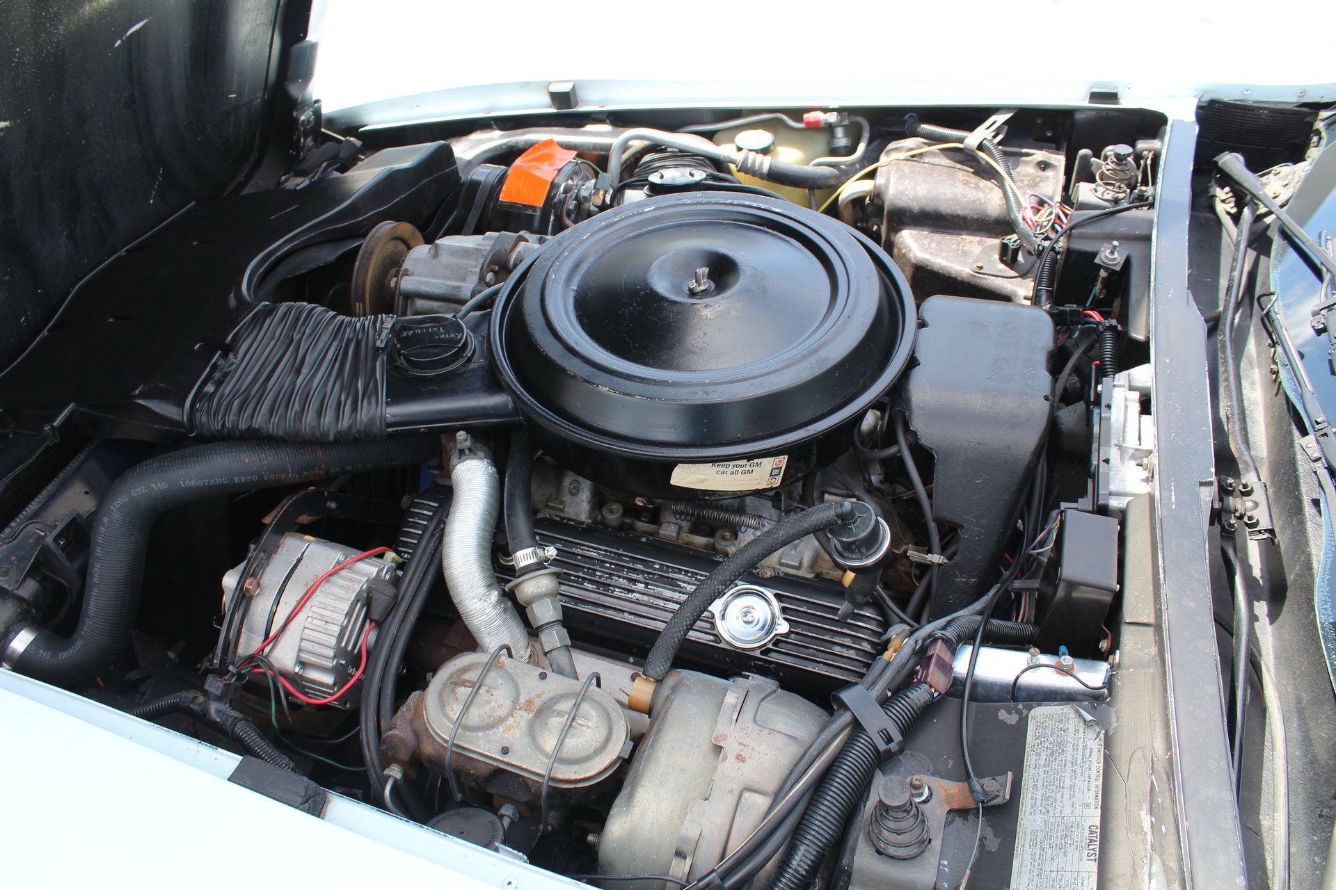 1978 Chevrolet Corvette | Classic Cars of Sarasota