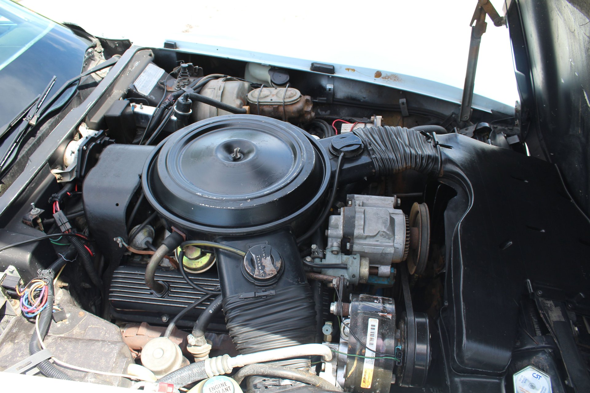 1978 Chevrolet Corvette | Classic Cars of Sarasota