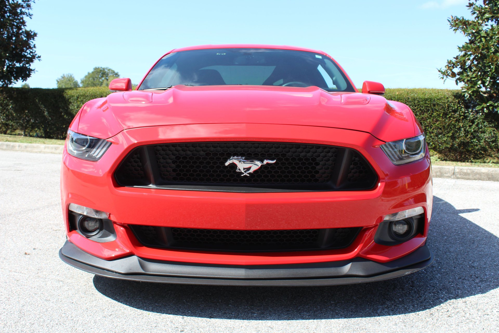 For Sale 2015 Ford Mustang Gt