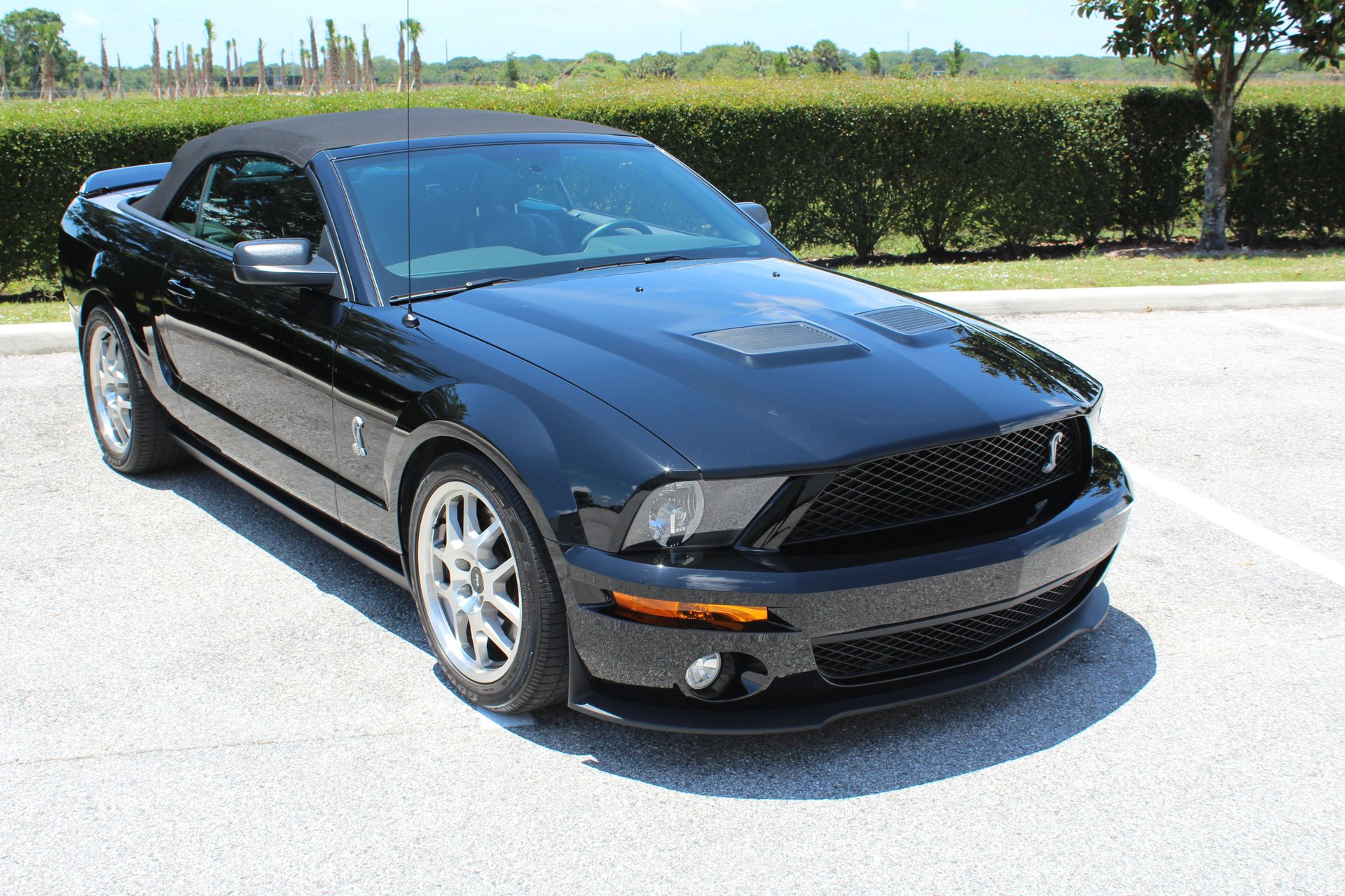 For Sale 2008 Shelby GT500