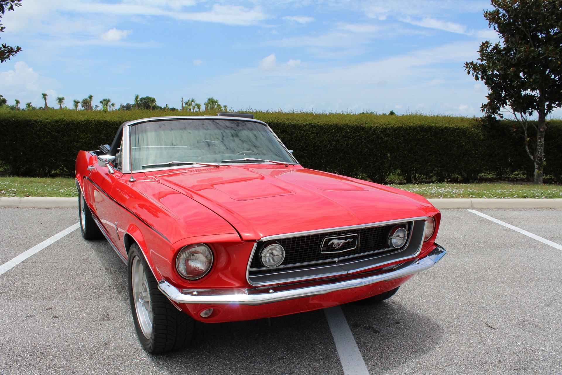 For Sale 1968 Ford Mustang 428