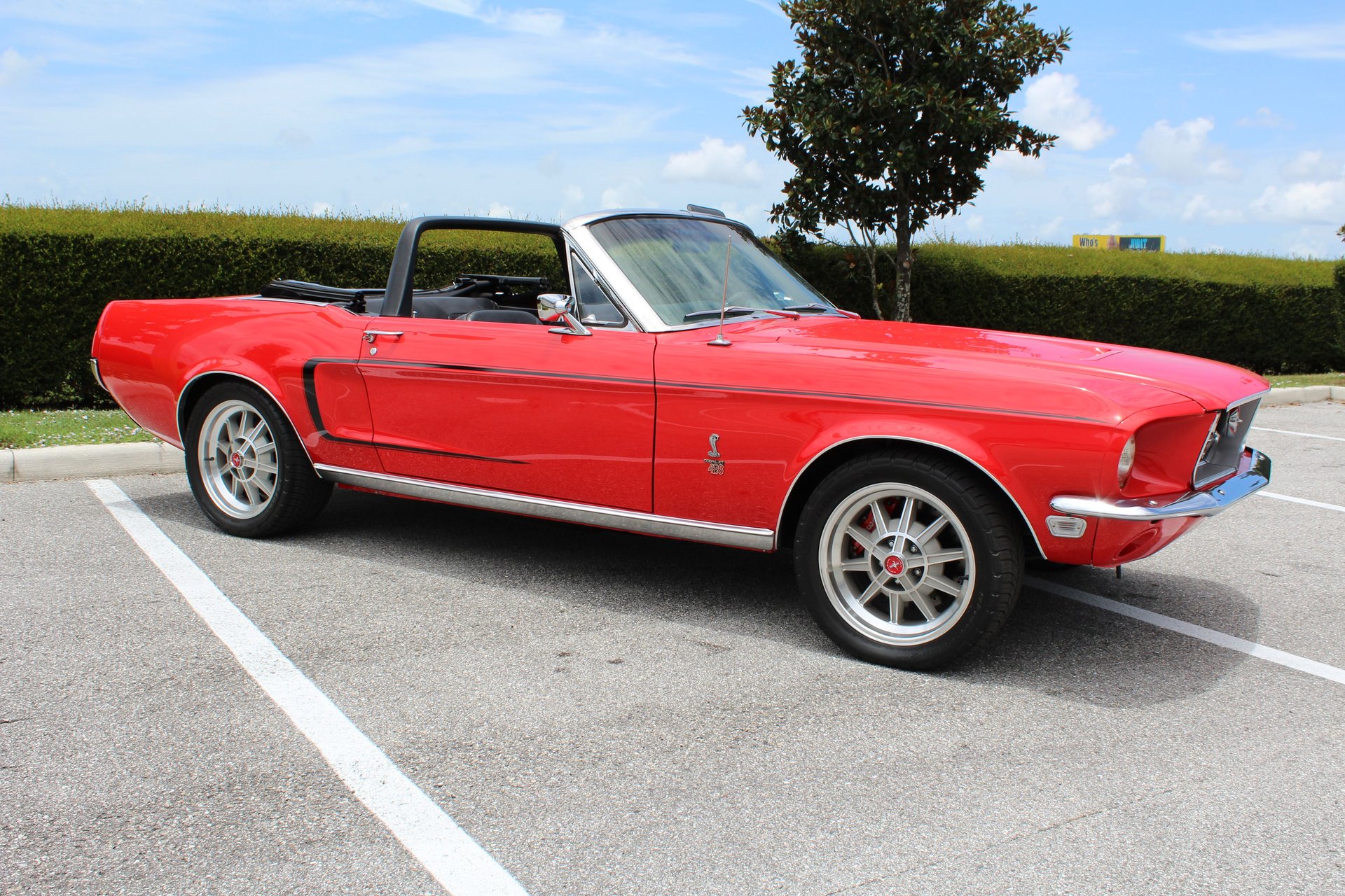 1968 Ford Mustang 428 | American Muscle CarZ