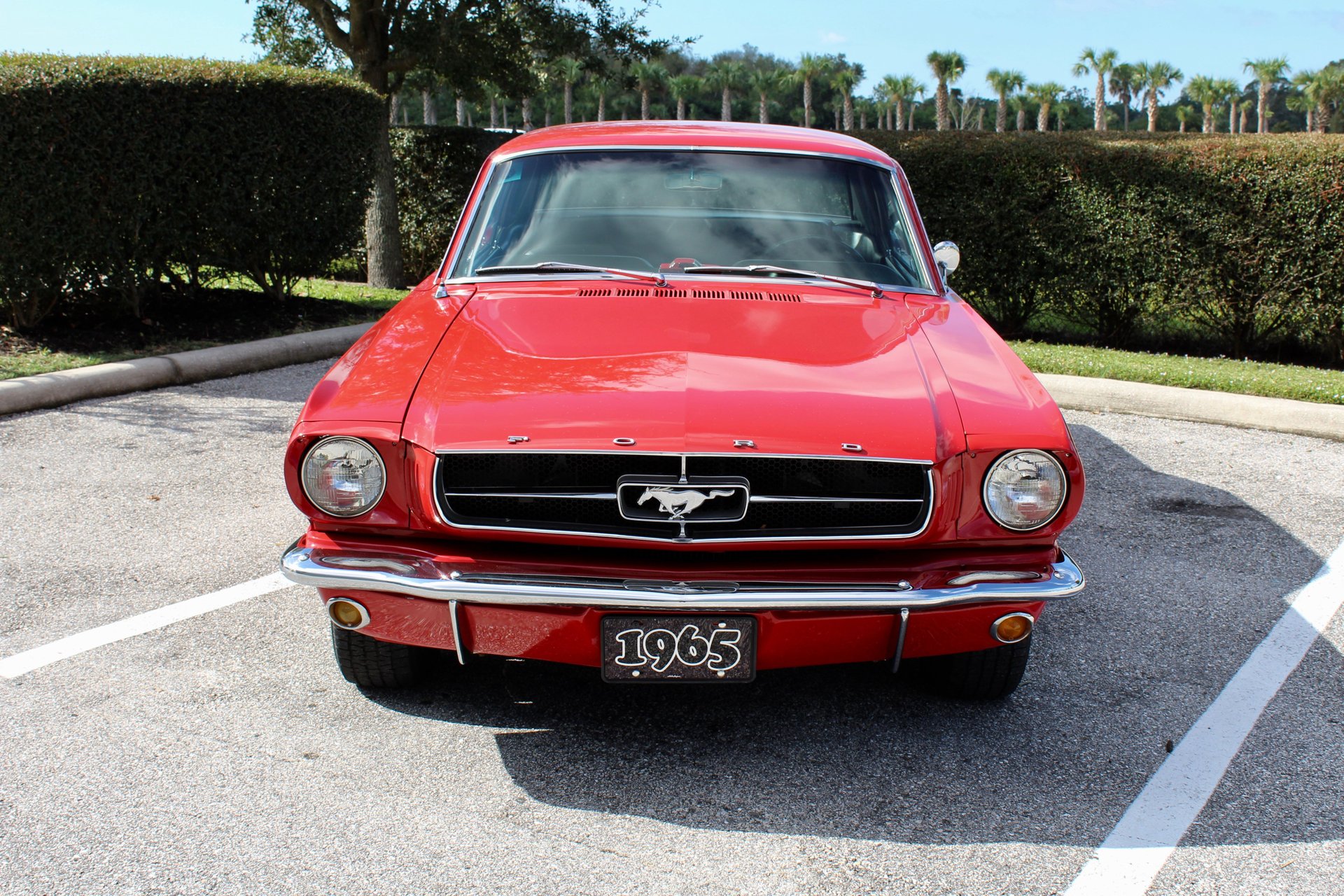 For Sale 1965 Ford Mustang