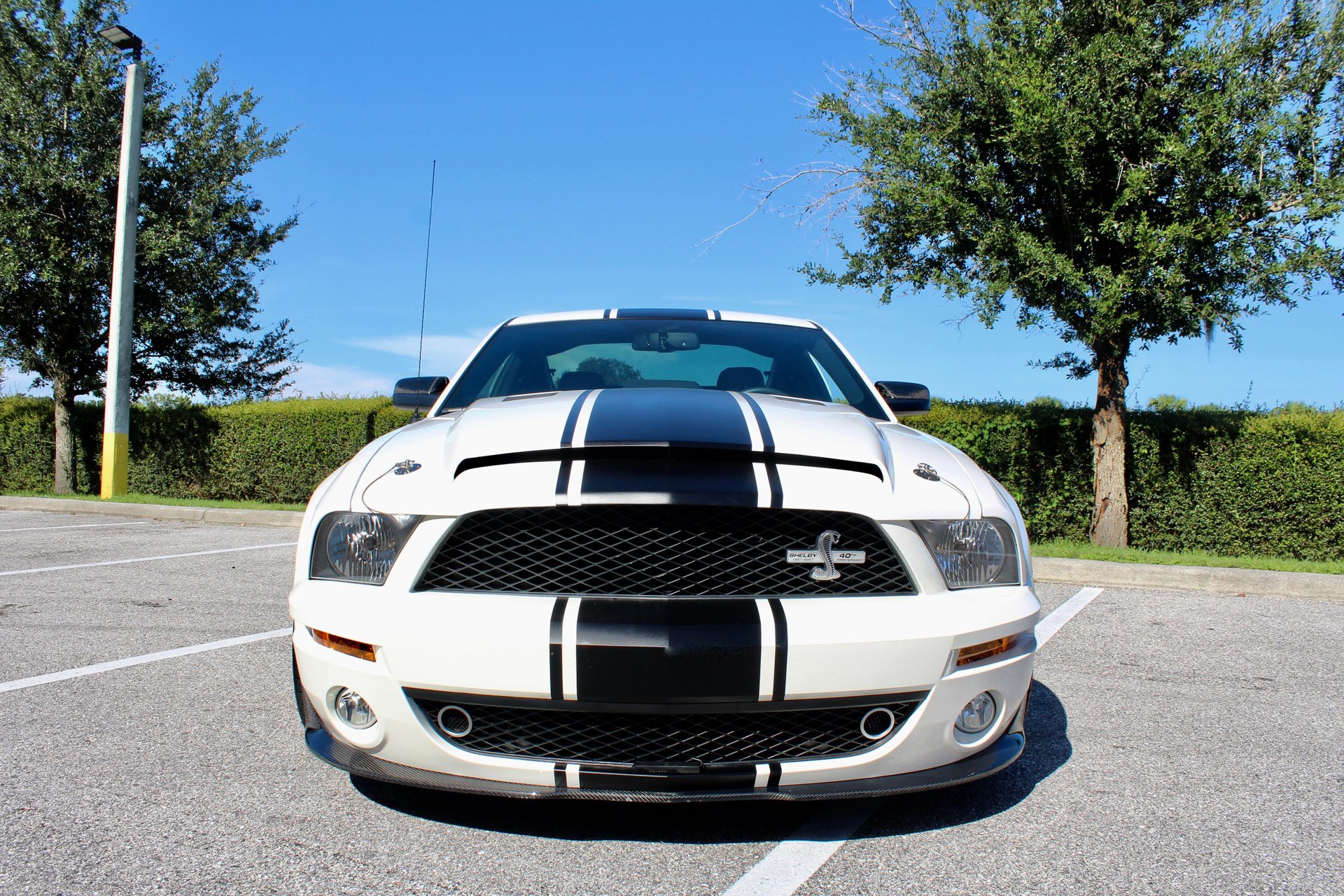 For Sale 2007 Shelby Supersnake