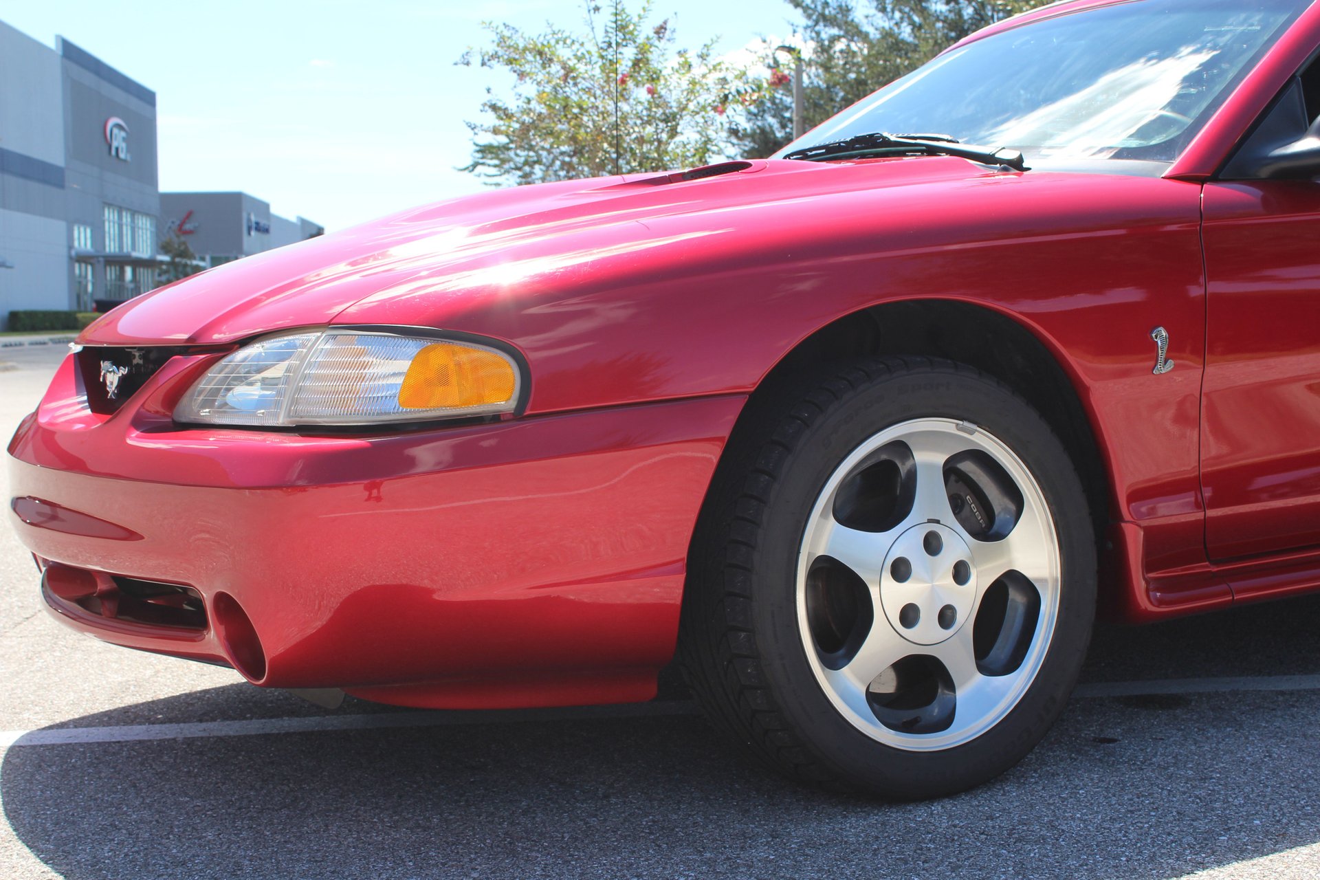 For Sale 1996 Ford Mustang