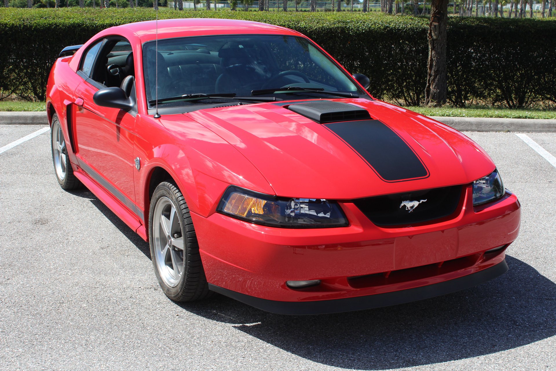 For Sale 2004 Ford Mach 1
