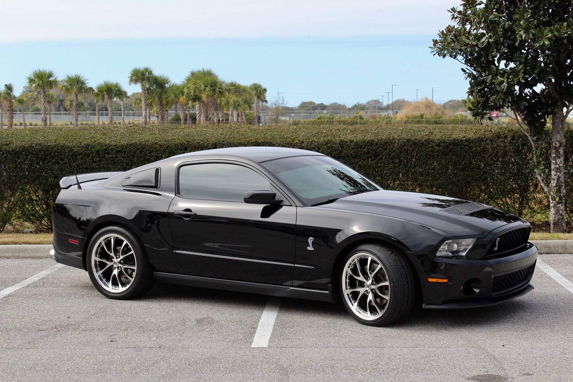 2011 shelby gt500
