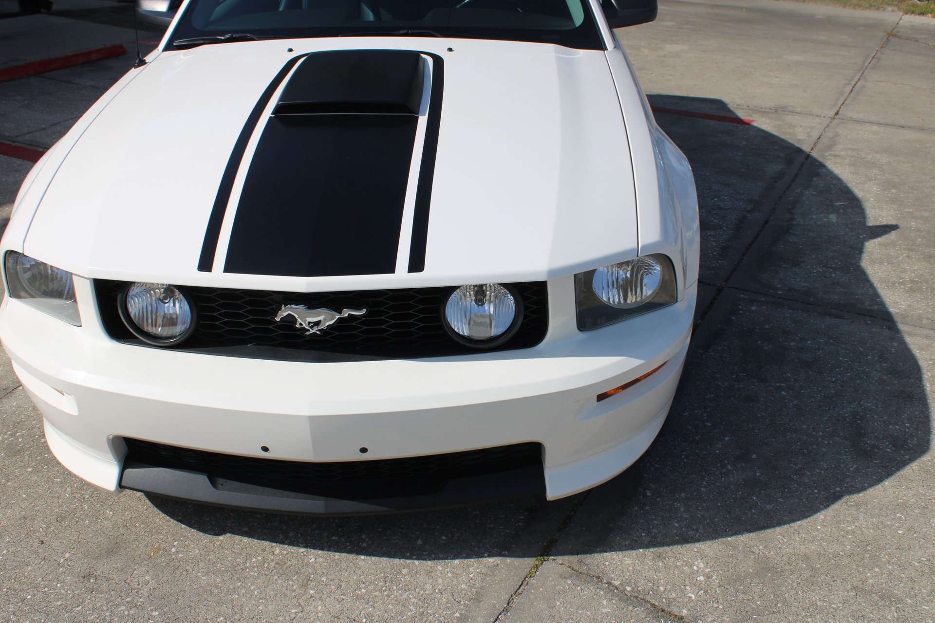 For Sale 2008 Ford Mustang Gt