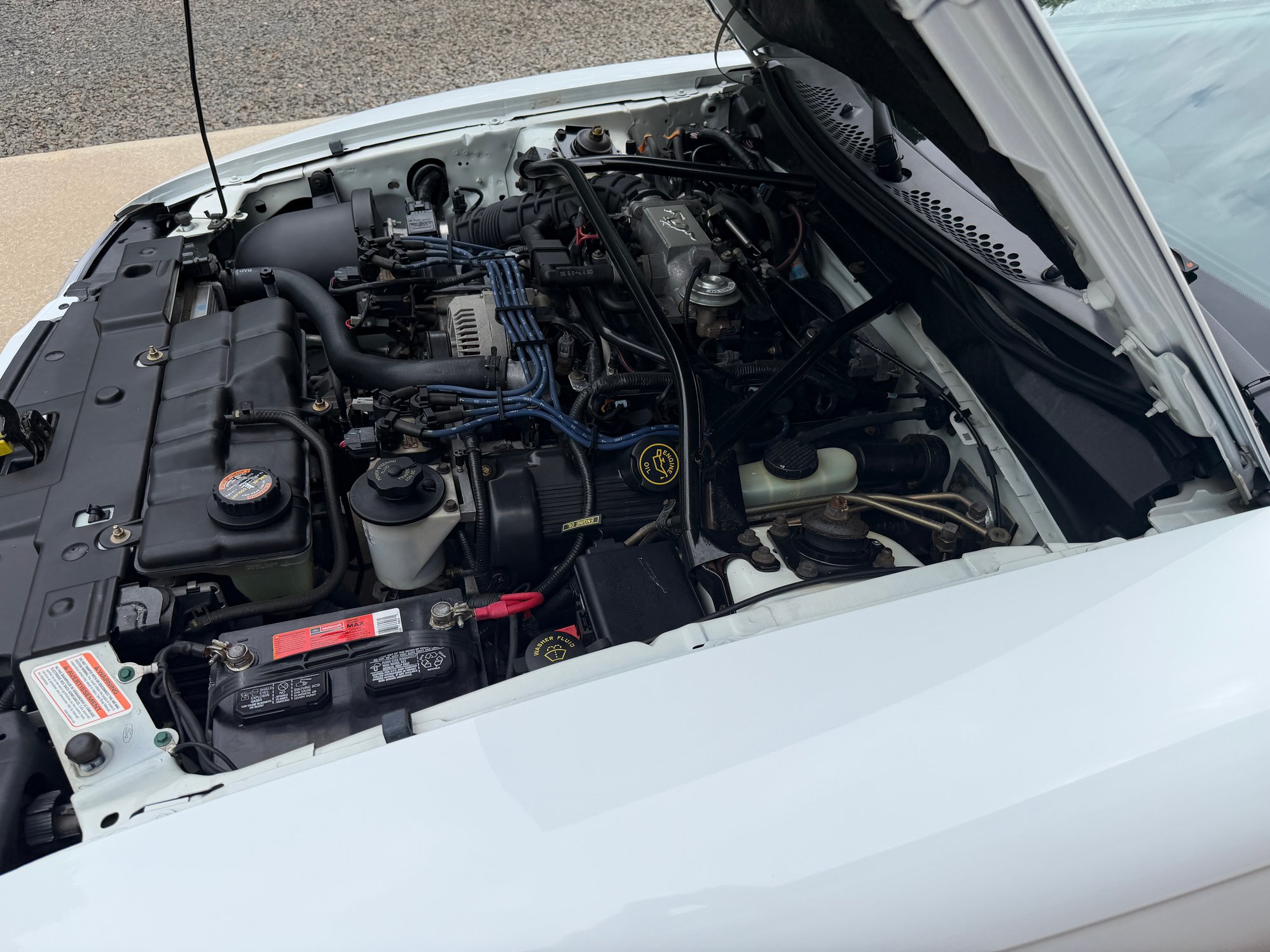 1997 Ford Mustang Base - Photo 37