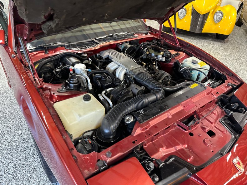 1989 Pontiac Firebird | South Jersey Classics