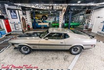 For Sale 1971 Ford Mustang