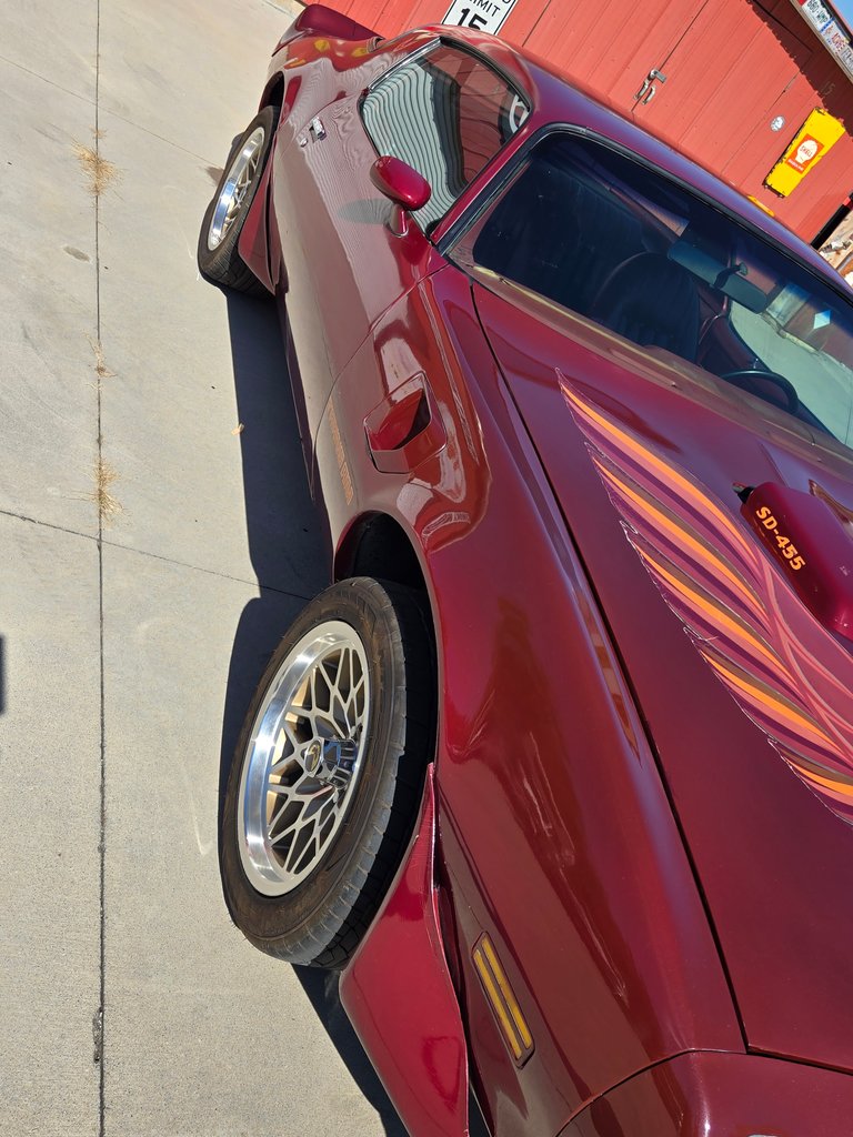 1979 Pontiac Firebird 5