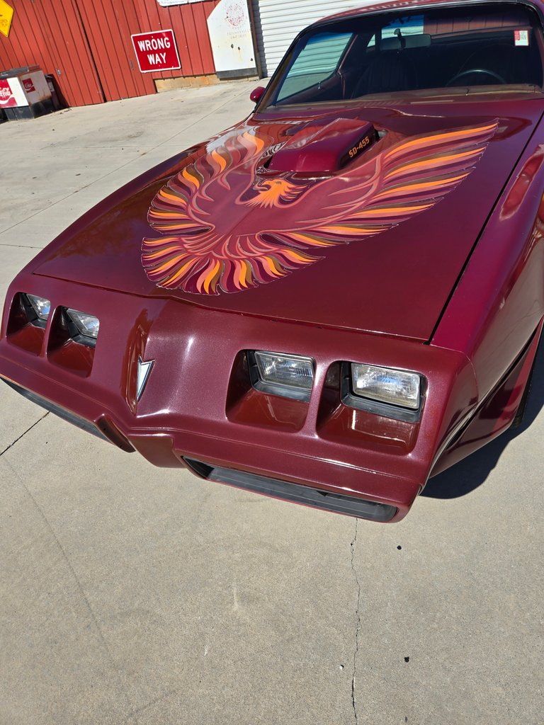 1979 Pontiac Firebird 3