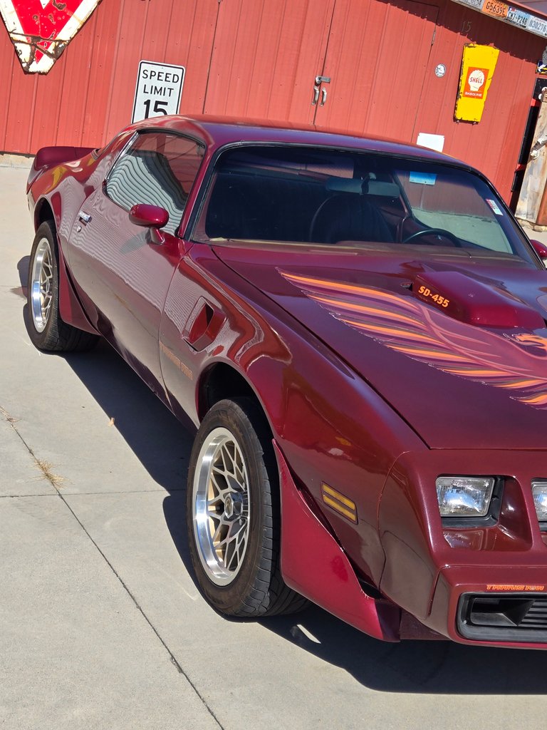 1979 Pontiac Firebird 6