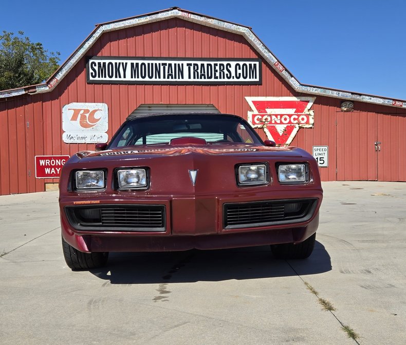 1979 Pontiac Firebird 11