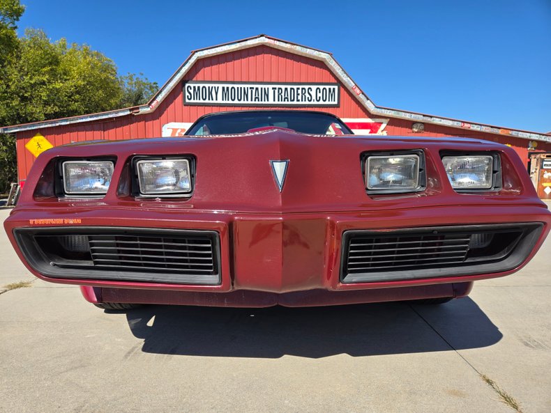 1979 Pontiac Firebird 12