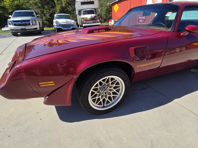 1979 Pontiac Firebird 14