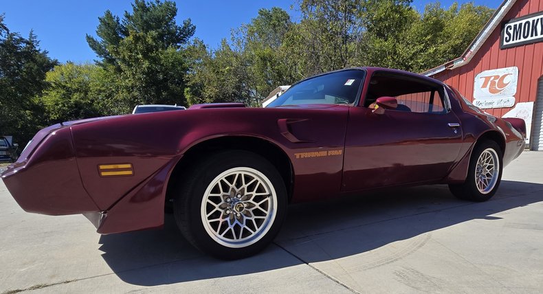 1979 Pontiac Firebird 15