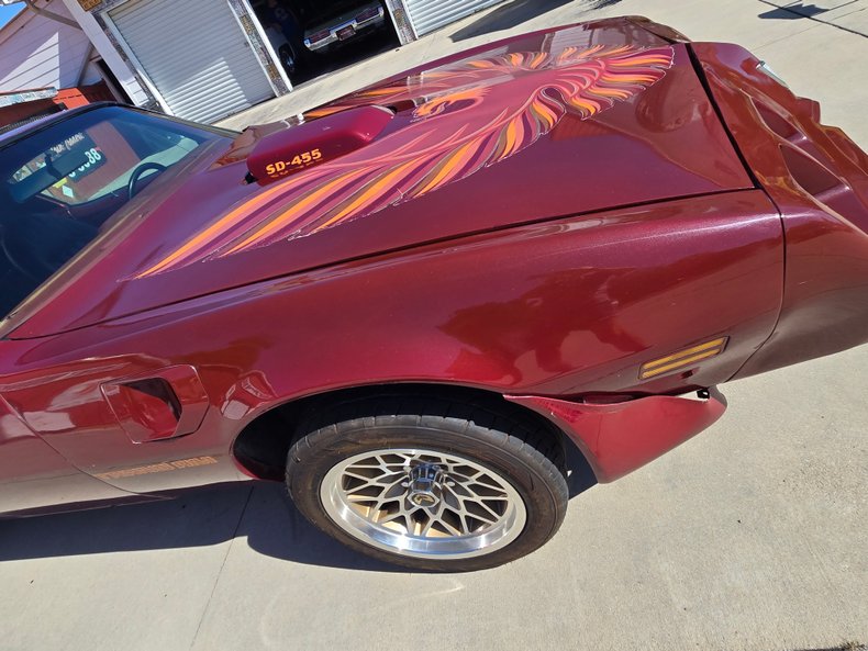 1979 Pontiac Firebird 13