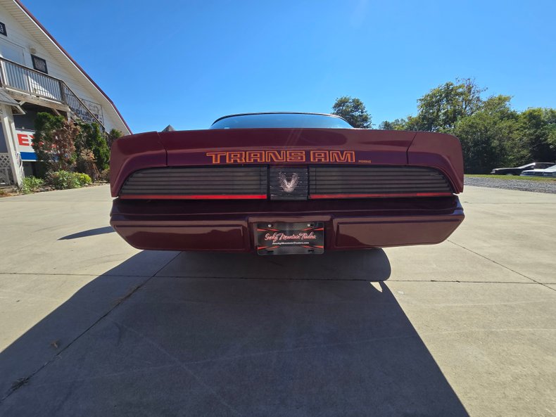 1979 Pontiac Firebird 20