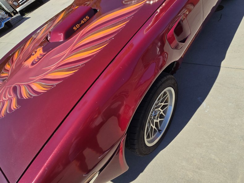 1979 Pontiac Firebird 23