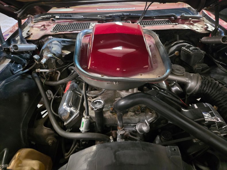 1979 Pontiac Firebird 58