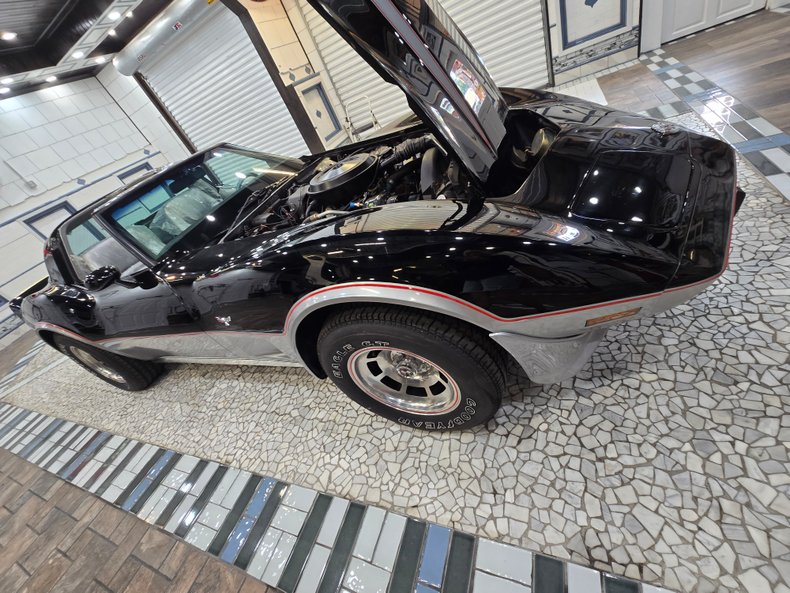 1978 Chevrolet Corvette 109