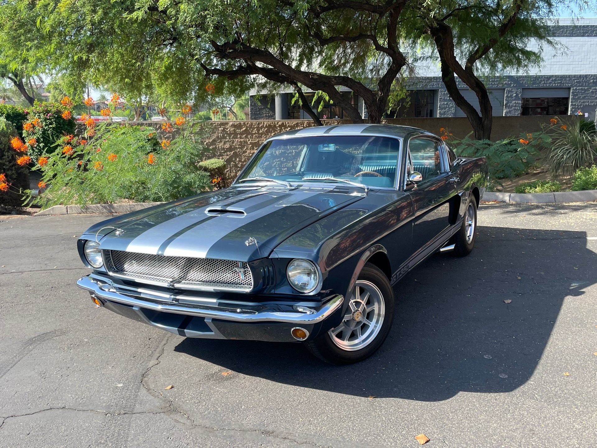 1965 Mustang Fastback Shelby