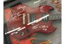 Back N Black AC DC band signed guitar display