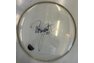 Ted Nugent autographed tour used drum skin shown price for 1