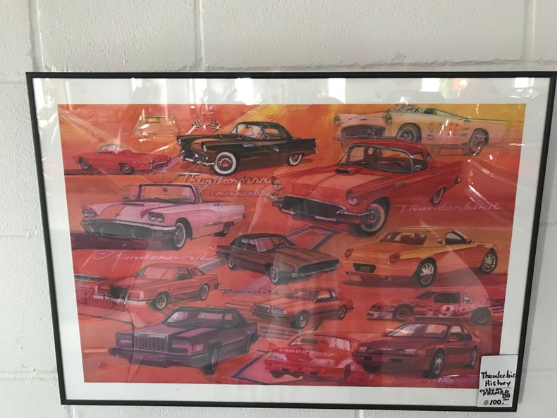 Custom framed Thunderbird collage