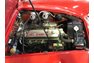 1966 Austin-Healey 3000